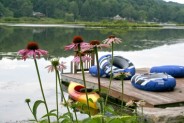 Cozy Lakefront Cottage near Elk Mtn Ski Vacation Rental