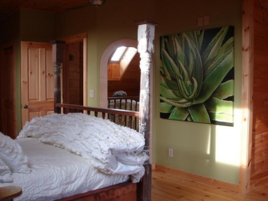 Property Photos